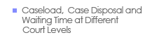 Caseload, Case Disposal and Waiting Time at Different Court Levels