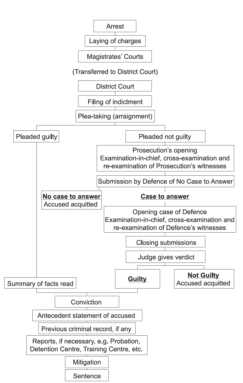 The District Court Flow Chart for Criminal Proceedings