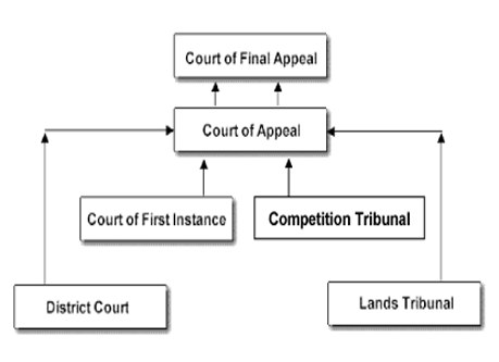 Appeal Structure of the High Court, Competition Tribunal, District Court and Lands Tribunal