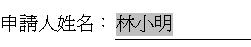 全名文本框內可鍵入英文字母或數目字